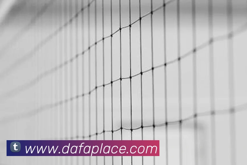 大发官网APP 高清赛事图